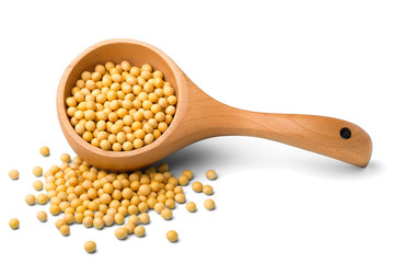 raw soybeans on white, (large depth of field, taken with tilt shift lens)