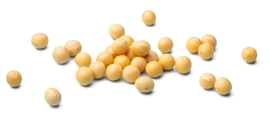 raw soybeans on white, (large depth of field, taken with tilt shift lens)