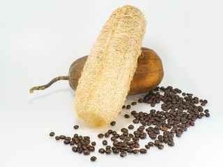 nature luffa scrub with coffee beans on white background.