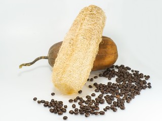 nature luffa scrub with coffee beans on white background.
