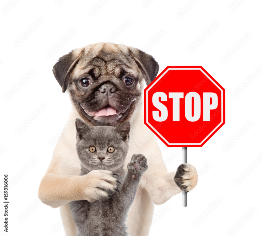 Poster puppy kitten hugging and holding a sign 