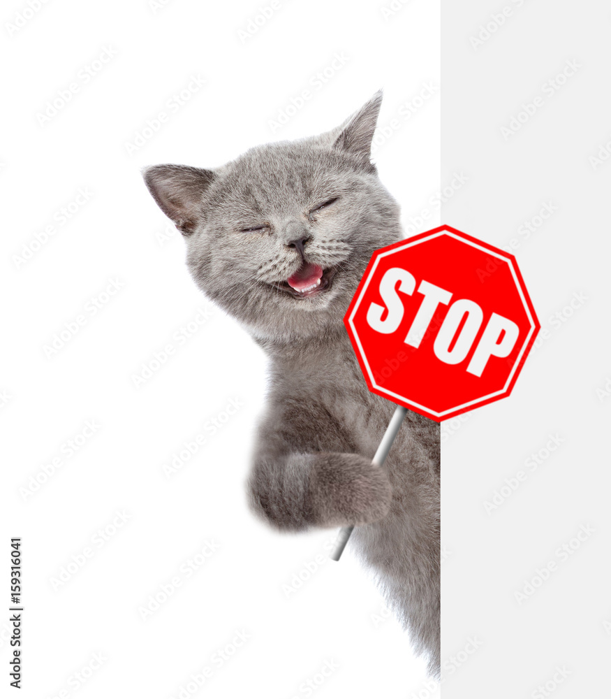 Poster meowing cat with the 