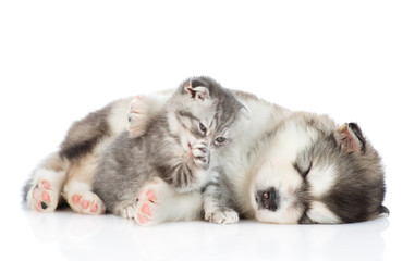 Fototapeta premium Kitten washes near the sleeping puppy. isolated on white background