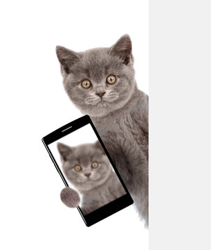 Cat with smartphone peeking above white banner and taking a selfie. Isolated on white background