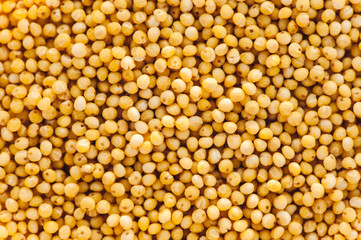 Yellow pure grain of millet. Seamless texture.