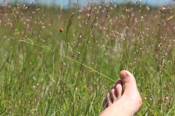 Fuß in Sommerwiese beim Sonnenbad