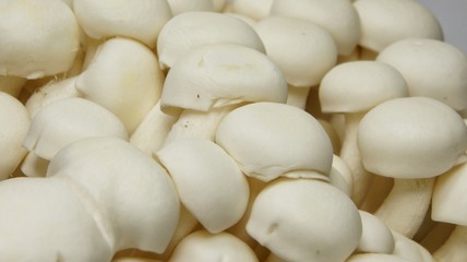 Shimeji mushrooms