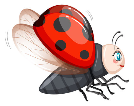 Cute ladybug flying on white background
