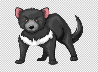 Tasmanian devil on transparent background