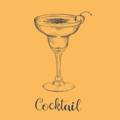 Cocktail sketch cherry. Sketch cocktail vector