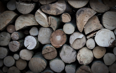 Cross Section Of Tree Trunks Can Use For Background. Cutting Tree Trunks Placed Together For Decoration