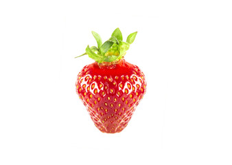 Red ripe strawberry isolated on a white background