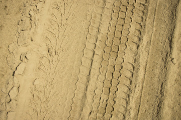 Trace of the wheels on a yellow sand . Sand texture