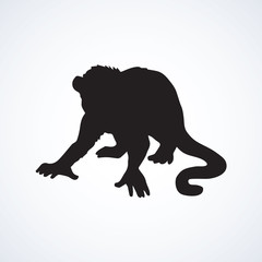 Chimpanzee. Vector illustration