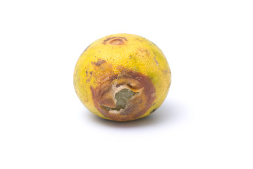 Obraz premium Rotten lemon isolated on white background