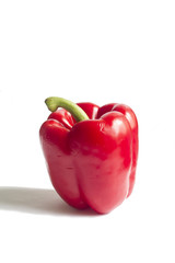 red bell pepper on white background