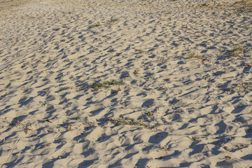Fototapeta na wymiar Steps on the beach