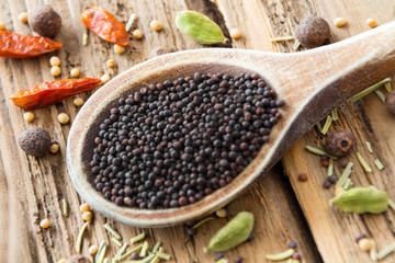 Schwarzer Senf -  Black mustard