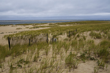 Fototapeta na wymiar Cape Cod beach-USA 