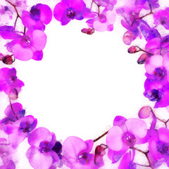 Naklejka na ściany i meble Purple orchid background