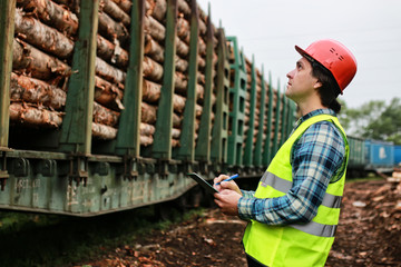 man in helmet worker wood lumber