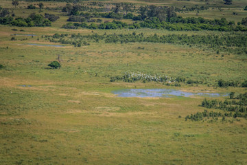 Fototapeta na wymiar Aerial picture of the Okavango Delta.