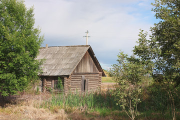 House in a field with reeds