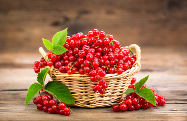 Plakat Fresh red currant