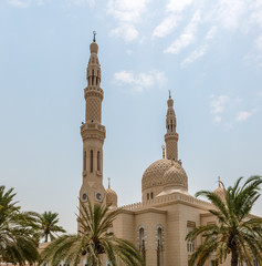 Obraz premium Jumeirah Mosque and Palm Trees in Dubai City