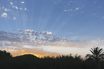 Fototapeta na wymiar Landscape of a sunrise with elongated sun rays.