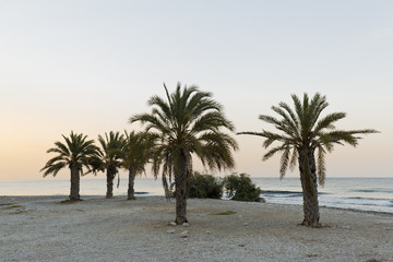 Fototapeta na wymiar View at sunrise of Torres beach