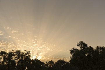 Landscape of a sunrise with elongated sun rays.