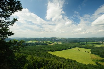 Beautiful summer landscape