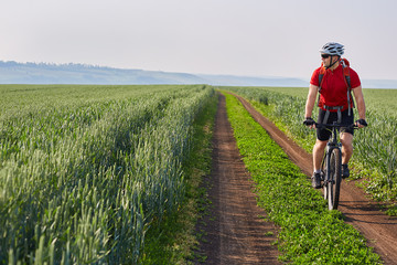 Young cyclist rides on the road in a field on a bright sunny day in the countryside.