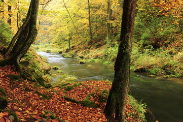 Autumn colors river