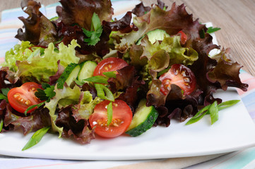 Vegetable salad