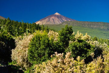 View of the Volcano El Teide in Tenerife, Canary Islands, Spain