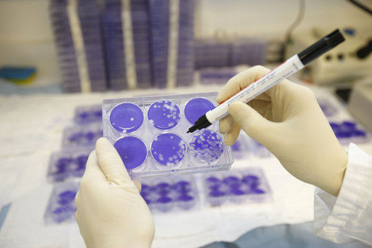 VIROLOGY LABORATORY