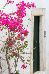 Fototapeta na wymiar Ostuni, Italy - May 26, 2017: Bougainvillea plant climbing on a white wall typical of the Apulian village, with a green entrance door