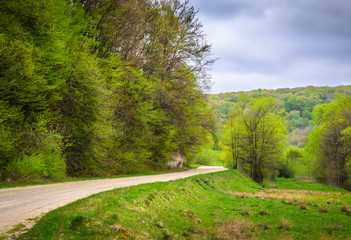Spring forest on a cloudy day.