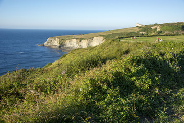 Asturian landscape 85