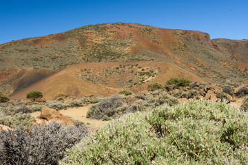 Desert Lonely Road Landscape in Volcan Teide National Park, Tenerife, Canary Island, Spain