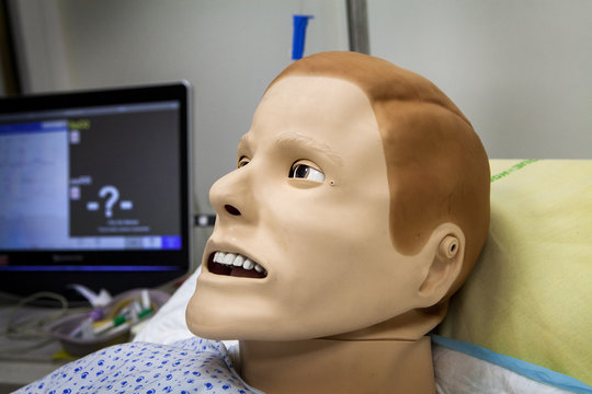 MANIKIN SIMULATION
