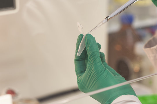 CANCER RESEARCH