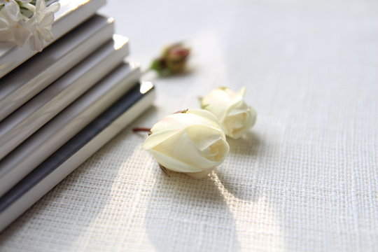 White roses on white background. Magazines on the table. Romantic. Summertime