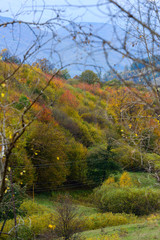 Beautiful autumn landscape, Armenia