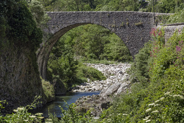 Fototapeta na wymiar Alte Steinbrücke über ein Flüsschen in Südfrankreich