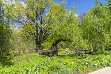 Spring in the Botanical Garden.