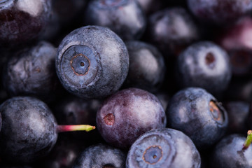 Juicy and fresh blueberries. Blueberry antioxidant. Concept for healthy eating and nutrition