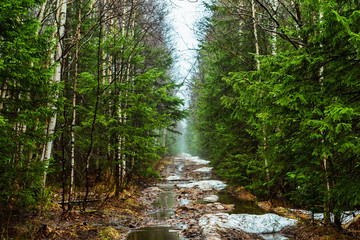 Spring landscape of path at Russian national park Taganay forest.